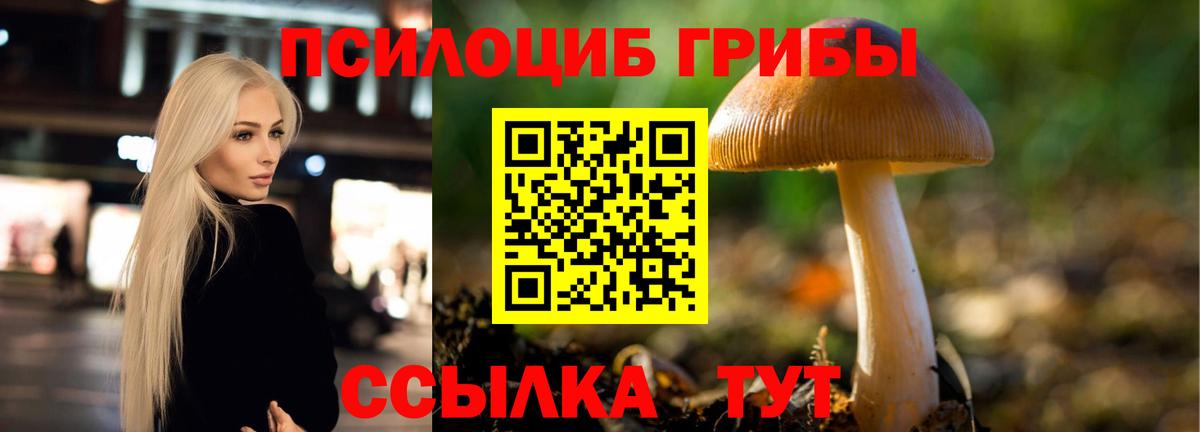Псилоцибиновые грибы Psilocybine cubensis  Вход с VPN  Алексин  Псилоцибиновые грибы GOLDEN TEACHER 